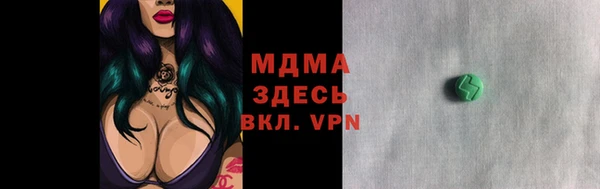 индика Горно-Алтайск