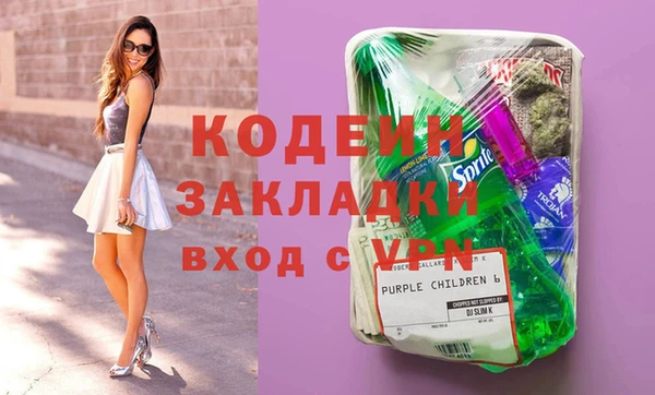 ГАЛЛЮЦИНОГЕННЫЕ ГРИБЫ Вяземский