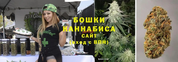 индика Горно-Алтайск