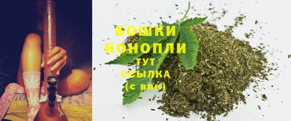 ГАЛЛЮЦИНОГЕННЫЕ ГРИБЫ Вяземский