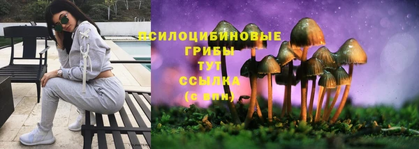 a pvp Горнозаводск
