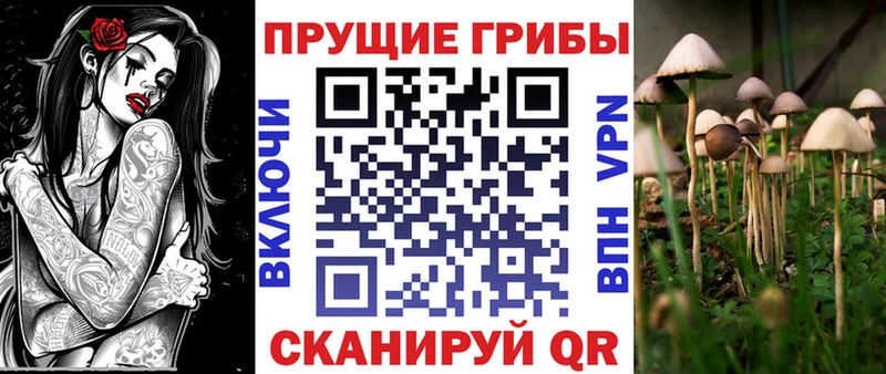 Галлюциногенные грибы Psilocybine cubensis  Ершов 