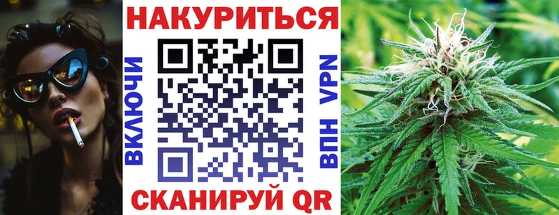 дарк нет телеграм  Ершов  Каннабис сатива 